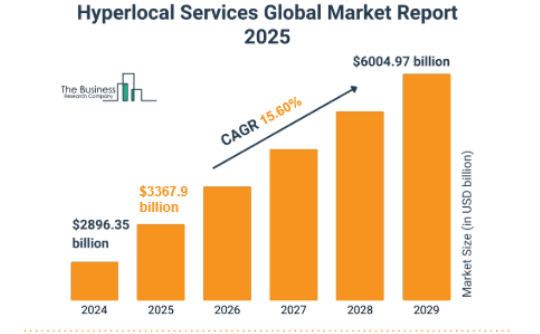 Figure 1: hyperlocal services global market report 2025
