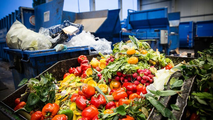 Sustainability through pricing agility — how frequent pricing can reduce waste
