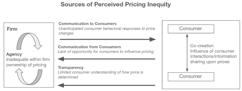 Figure 3: sources of perceived pricing inequity (Journal of Business Research)