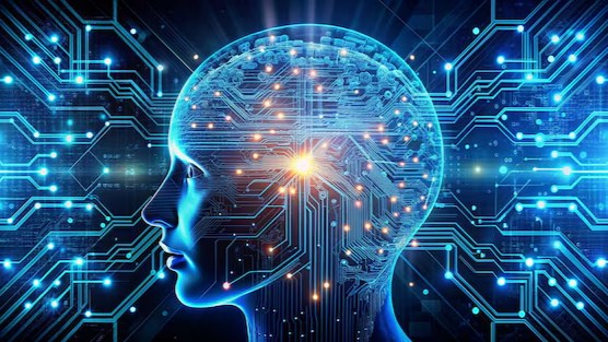 The psychology of price perception — what AI still gets wrong and humans get right