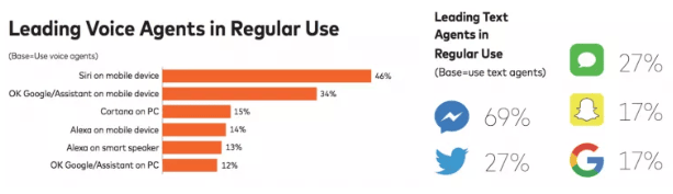 Figure 2: leading voice agents in regular use (NapoleonCat)